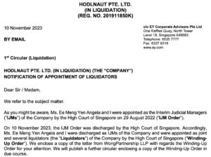 Hodlnaut heading for liquidation after failure of restructuring, sale efforts